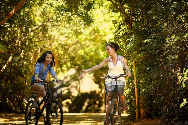 Alquiler gratuito de bicicletas  Art Hotel Commercianti Bolonia